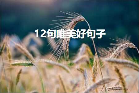 12句唯美好句子（文案452条）